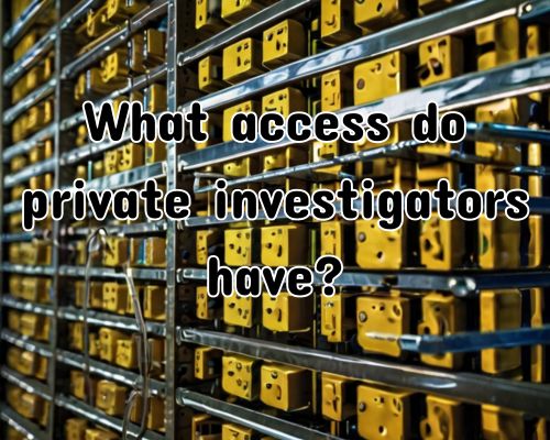file access by a private investigator